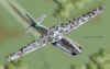 Bv202.jpg (51352 Byte)