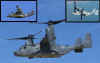 osprey09.jpg (91639 Byte)